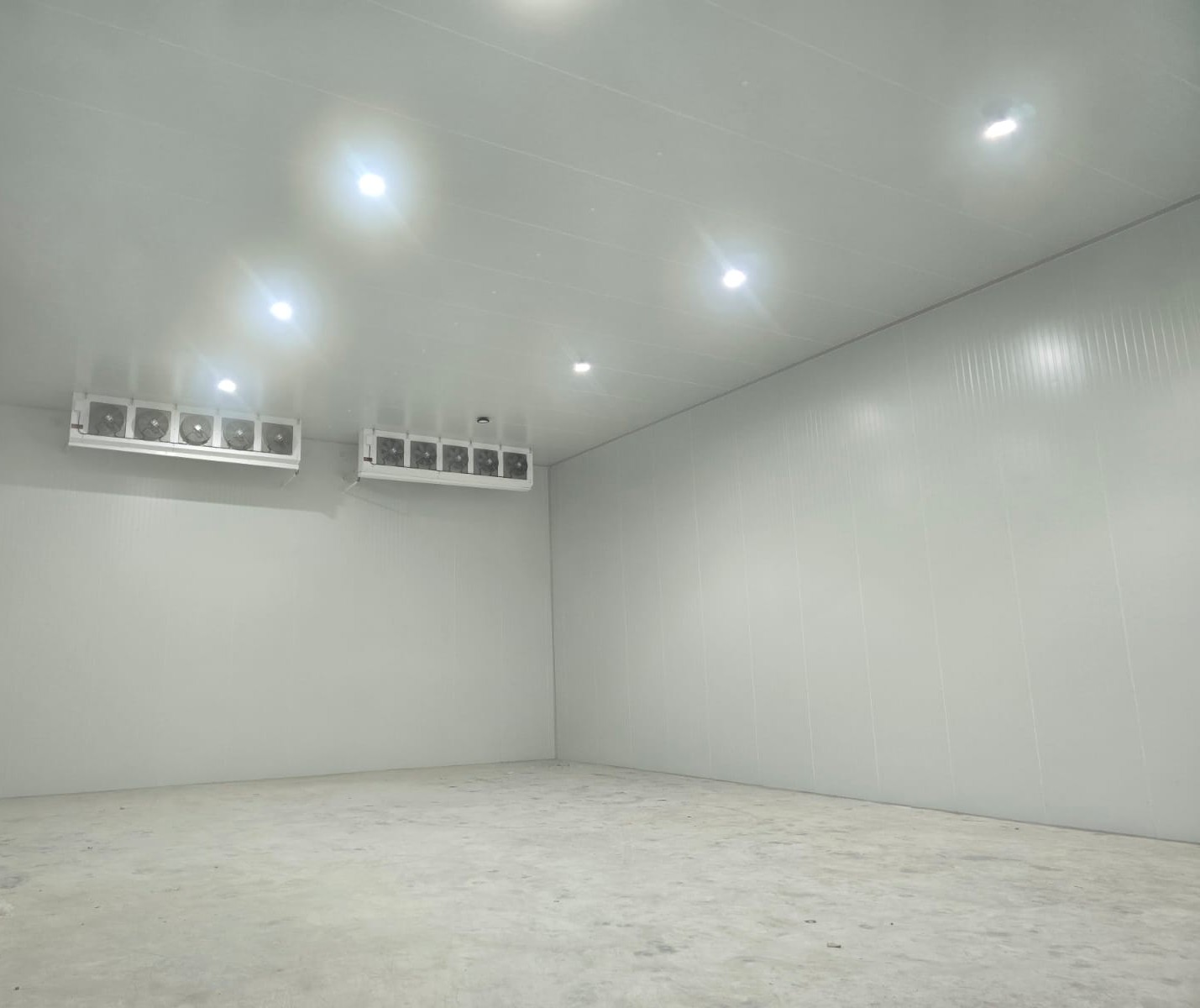 Chiller & Frozen Room