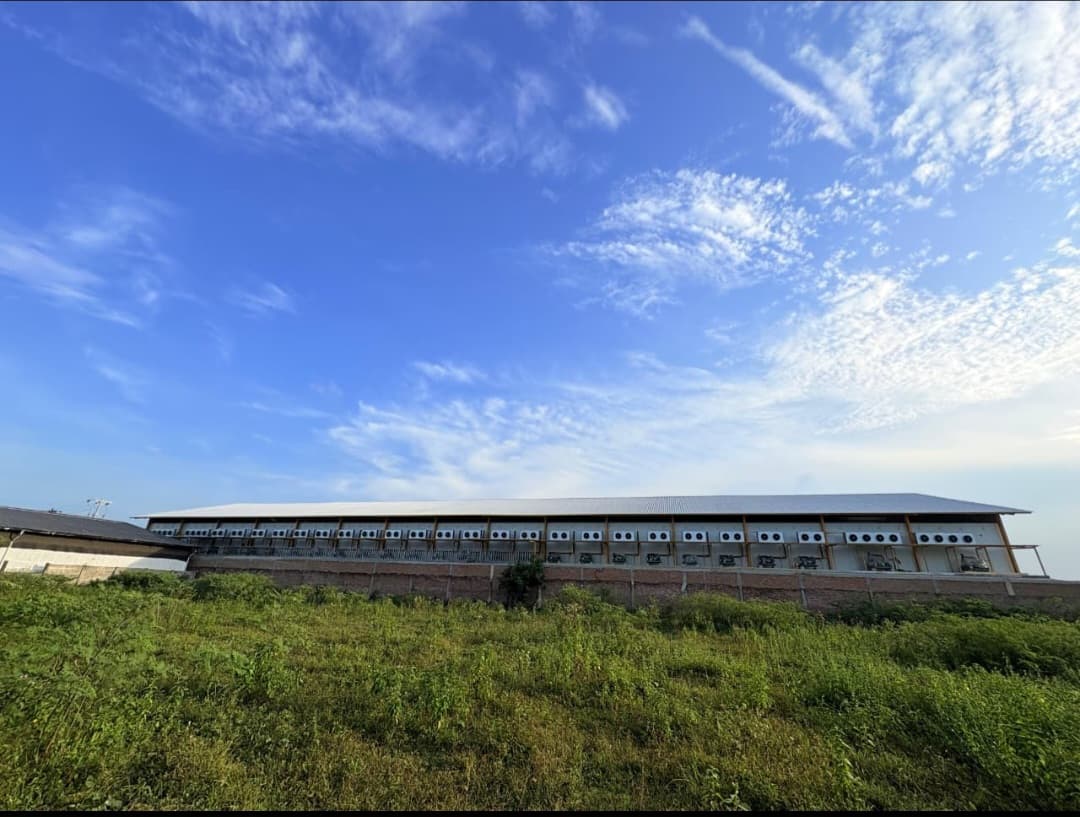 Fasilitas Cold Storage Modern